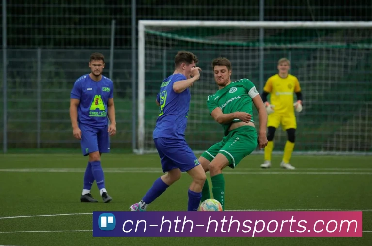 华体会hth发展历程